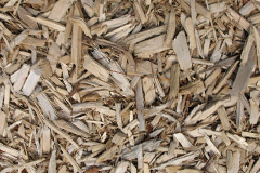 biomass boilers Bleddfa